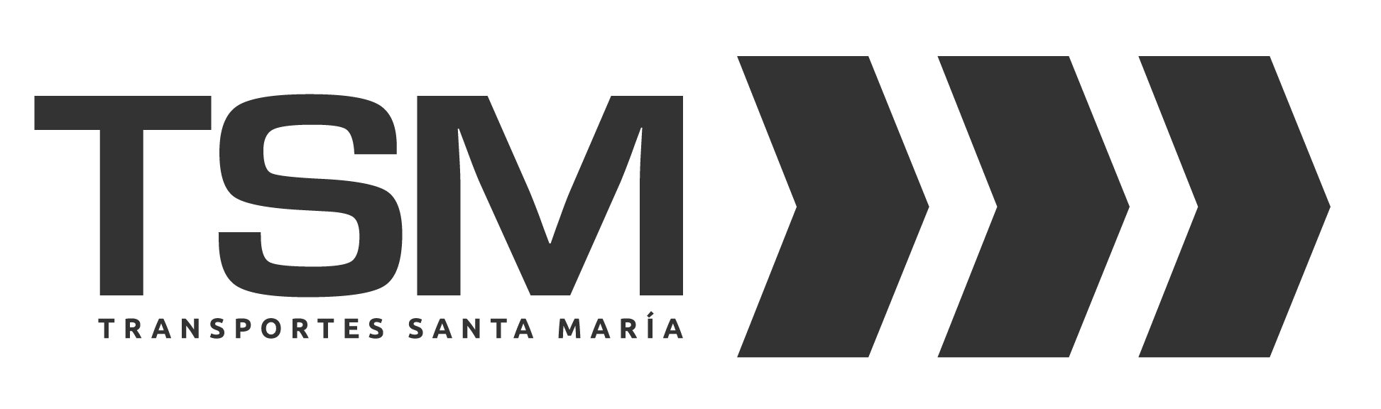 logoTSM2021-01