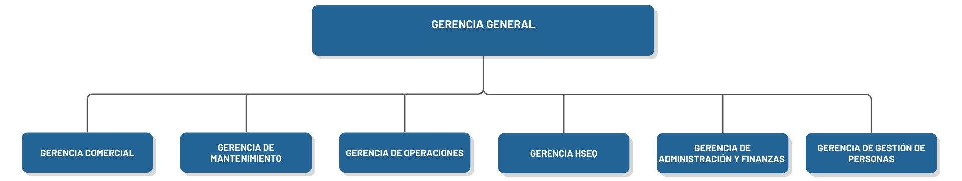 organigrama